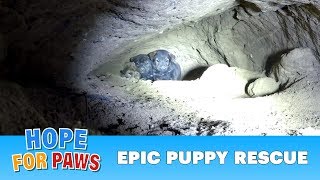 Epic puppy rescue  18 feet into the earth Dangerous Hope For Paws rescue puppy [upl. by Bore]