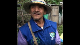 Documental Comunidades Indígenas de Pradera Valle Resguardo Indígena Kwet Wala El Territorio [upl. by Lehteb]