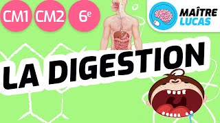 léducation nutritionnelle alimentaire 3eme annee college شرح ملخص [upl. by Danzig]