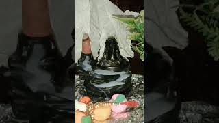 Adiyogi Dhyana Mudra Founl Smoke Backflow [upl. by Lynnelle399]