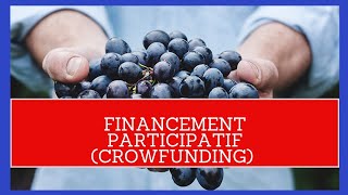 Le Financement Participatif ou Encore Crownfunfing [upl. by Pavia816]