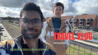 Grocery Shopping Denmark  Travel Vlog  Denmark Grocery Price  Maharashtrian In Denmark [upl. by Selrhc]