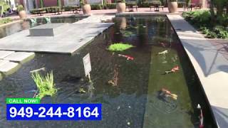 Commercial Koi Pond [upl. by Ricoriki]