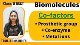 Biomolecules  Cofactors  Prosthetic group  Coenzyme  Metal ions  Class 11 biologyNEETAIIMS [upl. by Elocon880]