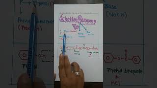 Trick to learn Schotten Baumann rxn more tricks in chemistry subscribe my channel [upl. by Elocim]