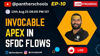 EP10  Invocable Apex in Salesforce Flows pantherschools sfdcpanther [upl. by Ellon845]