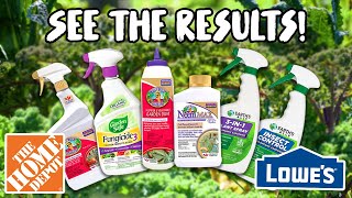 Testing the TOP ORGANIC PESTICIDES from HOME DEPOT and LOWES Do they ACTUALLY WORK [upl. by Alodi]