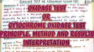 Oxidase testCytochrome oxidase testMicrobiology biochemical testPrinciplemethod and result read [upl. by Ecinereb]