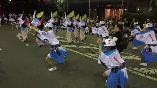 だるまっ子連／西口駅前通り演舞場／第35回南越谷阿波踊り2019（2日目） [upl. by Sacha]