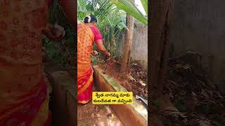 rajarajeshwari rajulamma amma ammoru devotional shakthi god shorts viral trending hindu [upl. by Petite]