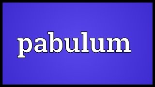 Pabulum Meaning [upl. by Eleets]