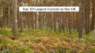 Top 10 Largest Forests in the UK [upl. by Tavy]