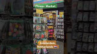 Flower Market tour Bloemenmarkt Amsterdam Netherlands 🇳🇱 travel flowers garden Holland [upl. by Annoya14]