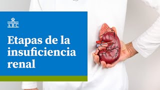 Etapas de la insuficiencia renal [upl. by Attenyt991]