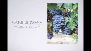 Winecast Sangiovese [upl. by Gariepy361]