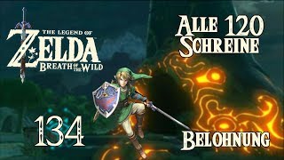 Belohnung für alle 120 Schreine amp Die 8Kriegerin  The Legend of Zelda Breath of the Wild Part 134 [upl. by Elleinad]