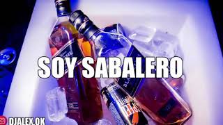 SOY SABALERO REMIX LOS PALMERAS ✘ DJ ALEX CACHENGUE [upl. by Tiffa]