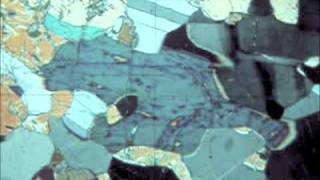 Optical Mineralogy hornblende inclined extinction plagioclase [upl. by Assenev]