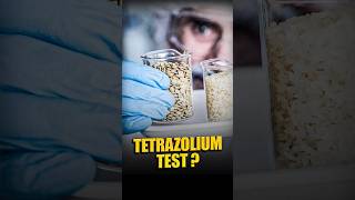 Tetrazolium Test [upl. by Rattan664]