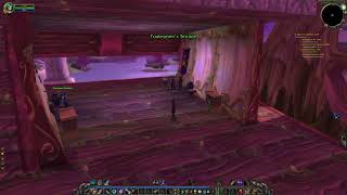 Waylaid Supplies Healing Potions Night Elf WoW SoD [upl. by Tak]