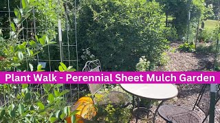 Plant Walk  Perennial Sheet Mulch Garden [upl. by Eelinnej]