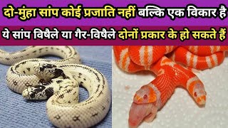 दोमुंहा सांप कोई प्रजाति नहीं बल्कि एक विकार है  TwoHeaded Snake MurliwaleHausla BapiDa [upl. by Thor]