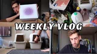 WEEKLY VLOG  Petit magasinage haul dépicerie Maxi achat pour les chats unboxing colis PR [upl. by Ridglee]