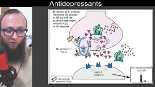 07 35  Inhibition of monoamine oxidase A MAOA and tyramine [upl. by Ttoille]