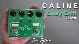 CALINE Crazy Cacti CP20 Overdrive Clone Fulltone [upl. by Ioves100]