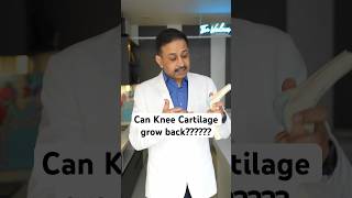 Can cartilage grow back naturally drpankajwalecha ashortaday kneepain [upl. by Zanahs]