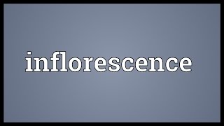 Inflorescence Meaning [upl. by Rachael922]