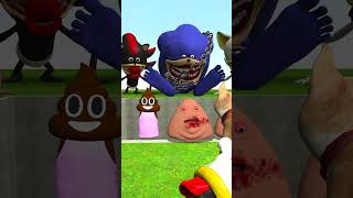 BIG HOLE SONIC SHADOW AMY ROSE ROUGE MONSTERS TAPES FAMILY VS POU BOUS REVENGE in GMOD  shorts [upl. by Ondrea]