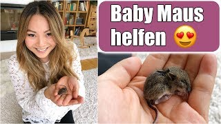 Eine Baby Maus in unserem Haus 😳 Reaktion der Kinder  Retten Füttern Aufziehen  VLOG  Mamiseelen [upl. by Noreik]