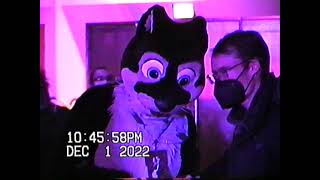 MFF 2022 Thursday  VHS Edition [upl. by Llewkcor501]