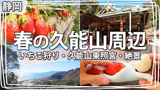 【静岡観光】静岡市の『いちご狩りデート』はコレで決まり♪久能山東照宮の階段で吊り橋効果アリ！？いちご大福作りも楽しい♪ [upl. by Eahsat]