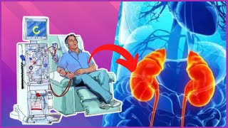 INSUFICIÊNCIA RENAL  Causas Sintomas e Tratamento [upl. by Kutzer]