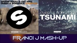 Dimitri Vegas amp Like Mike vs DVBBS amp BORGEUS  STAMPEDE vs TSUNAMI Franci J MashUp [upl. by Wahl]