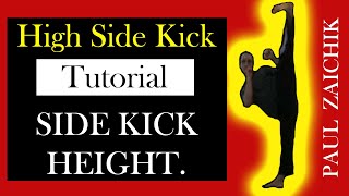 SIDE KICK TUTORIAL Training High Kick Side Kick Powerful Fast Side Roundhouse and Hook Kick [upl. by Arie]