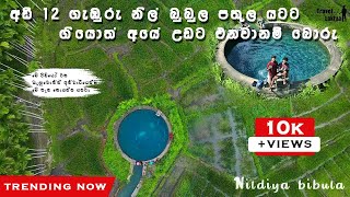 Nildiya bibula  මේ දවස්වල හැමෝම යන්න හොයන පිස්සු හැදෙන නිල්දිය බුබුල😱😍  Travel with Lakiya [upl. by Natanoy]