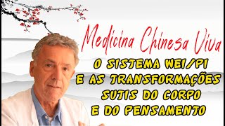 O sistema WeiPi e as transformações sutis do corpo e do pensamento  Acupuntura e Medicina Chinesa [upl. by Craner]