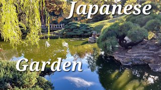 Japanese and Chinese Gardens at Huntington Botanical Garden San Marino California [upl. by Ymerej]