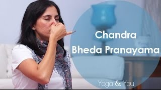 How to do Chandra Bheda Pranayama  Ventuno Yoga and You [upl. by Erreit]