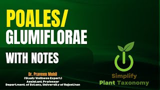 Characteristics of Poales glumifloraeपोएल्सग्लुमीफ्लोरी के विशेष लक्षण [upl. by Loomis]