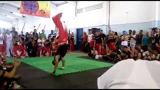 2016  Acrobacias Batizado Mestre Pinguim Barauna [upl. by Bertsche]