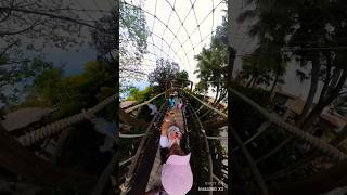 Disney World Swiss Family Treehouse From 1960’s Swiss Family Robinson Movie ​⁠youtubecreators [upl. by Lexine]