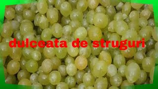 dulceata de struguri albi cu sirop de menta pe gustul fiecăruia 12 [upl. by Krall]