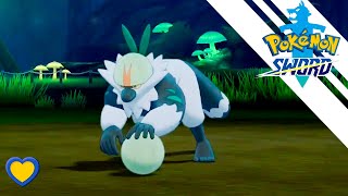 HOW TO GET Passimian in Pokémon Sword version exclusive location [upl. by Xuaegram972]