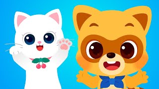 Meow Meow Kitty Cat 🐱 Kids Songs amp Nursery Rhymes  Animal Song for Kids  Lotty Friends [upl. by Ennaear174]