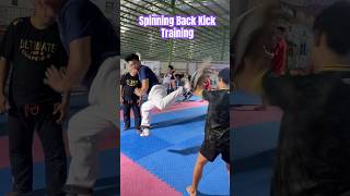 Spinning Back Kick  martialarts highkick kicks spinning backkick sidekick kicking tutorial [upl. by Tnafni303]