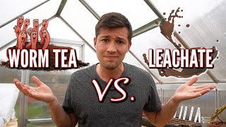 Worm Tea Vs Leachate  Whats the Difference One might be TOXIC [upl. by Engenia]